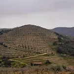 Casa de Campo Casa De Canelas - Refugio Terroir