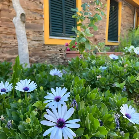 Casa di campagna Casa De Canelas - Refugio Terroir