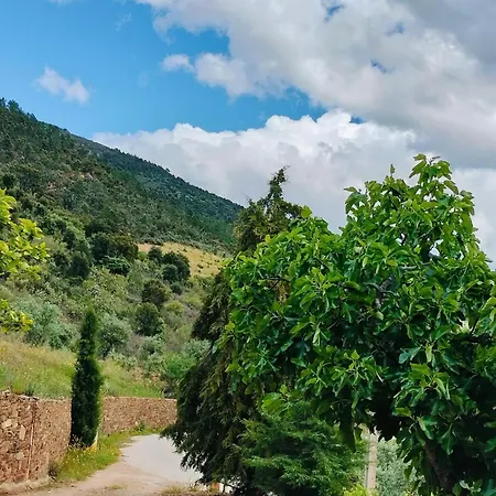 Casa di campagna Casa De Canelas - Refugio Terroir