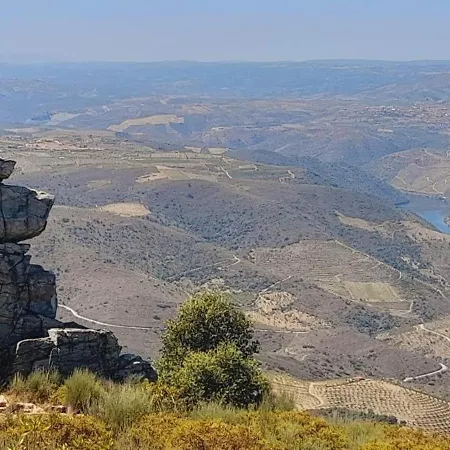 Casa De Canelas - Refugio Terroir *