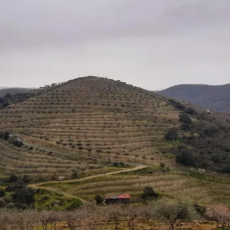 בית כפרי Casa De Canelas - Refugio Terroir