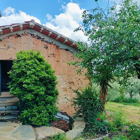 בית כפרי Casa De Canelas - Refugio Terroir Amoreira (Leiria)