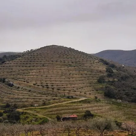 Kır Evi Casa De Canelas - Refugio Terroir Acoreira