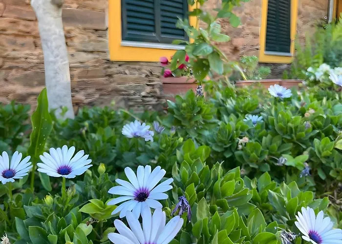 Hétvégi ház Casa De Canelas - Refugio Terroir *