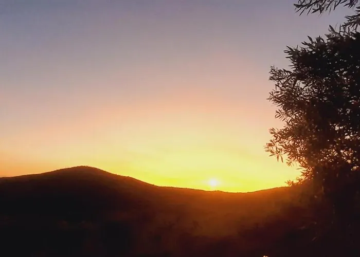 カントリーハウス Casa De Canelas - Refugio Terroir *